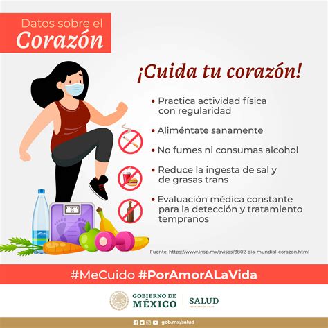 Medidas Para Prevenir Enfermedades Cardiovasculares Fitoterapia