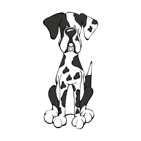 Great Dane Harlequin Great Dane Cute Animal Drawings Cute Dog
