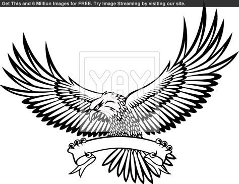 Soaring Eagle Drawing at GetDrawings | Free download