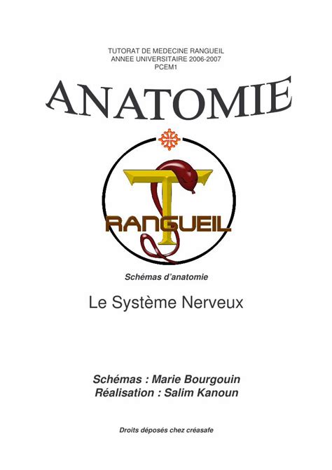 Pdf Schemas Anatomie Pcem Syst Me Nerveux Reussir Aucun Cas Les