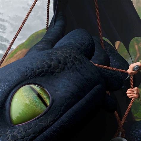 Pin By Nines On Httyd In 2024 How To Train Dragon How To Train Your Dragon How Train Your Dragon