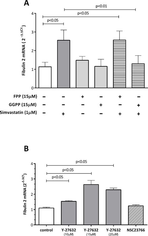 Effect Of Ggpp And Fpp A And The Rock Inhibitor Y 27632 And Rac Download Scientific Diagram