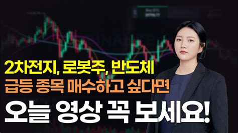 주식 추천 2차전지 못샀다면 이 주식 떨어질 때마다 사세요 기다리면 큰 부가 될 겁니다 외국인 매수 저평가 로봇주