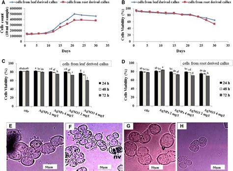 A Growth Curve Of Cell Suspension Culture From Leaf And Root Derived