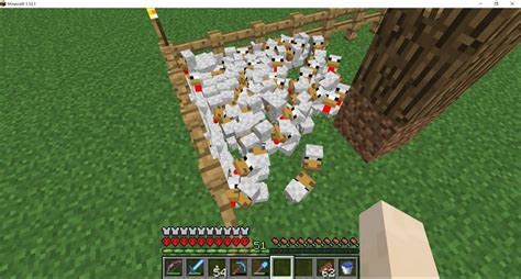 Minecraft Chicken Eggs