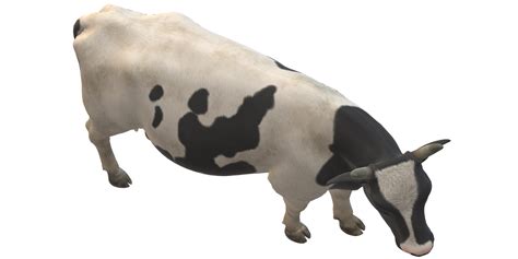 Cow isolated on a Transparent Background 43988496 PNG