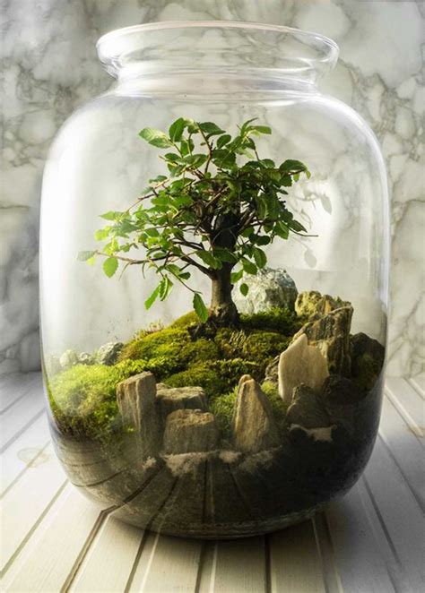 21 Prettiest Terrarium Ideas To Applying In Your Home HomeMydesign