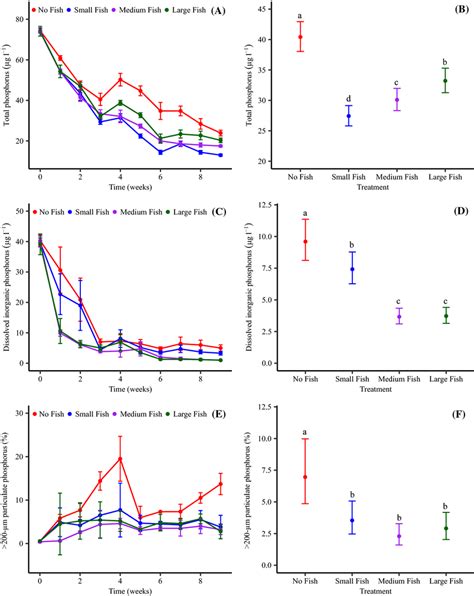 Temporal Dynamics Of Total Phosphorus A Dissolved Inorganic