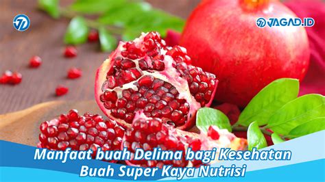 Manfaat Buah Delima Bagi Kesehatan Buah Super Kaya Nutrisi Jagad Id