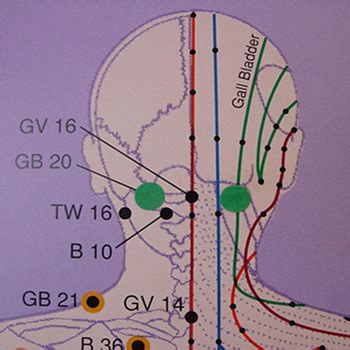 Acupressure Basics – Fundamentals for Beginners | Acupressure ...