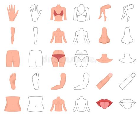 Part Of The Body Limb Cartoon Outline Icons In Set Collection For