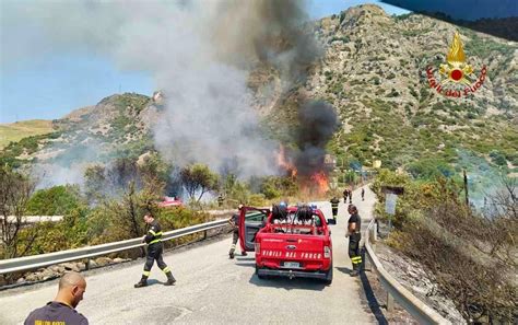 Cosa c è dietro gli incendi che devastano il Sud Città Nuova Città