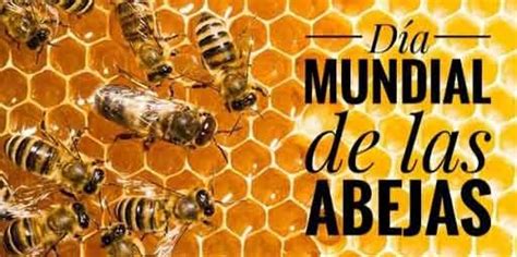 20 De Mayo Día Mundial De Las Abejas