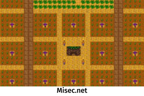 Stardew Valley Iridium Sprinkler Layout Range Setup G