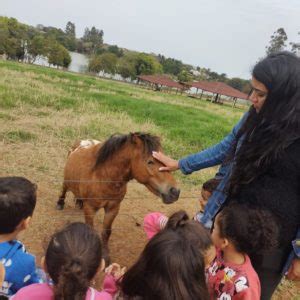 Alunos Das Creches Municipais Visitam Fazendinha Do Unasp Prefeitura