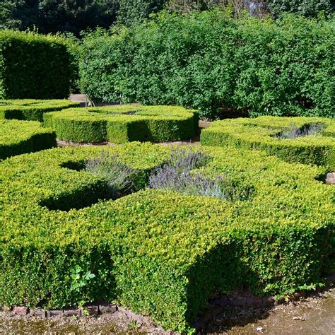 Temple Newsam - All You Need to Know BEFORE You Go (2025)