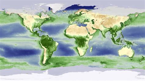 Animation Yearly Biosphere Cycle Shows Earth Breathing YouTube