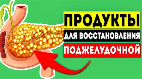Полезные продукты для поджелудочной железы