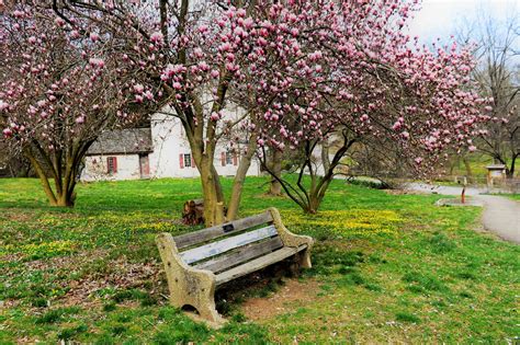 Schuylkill... - Schuylkill Center for Environmental Education