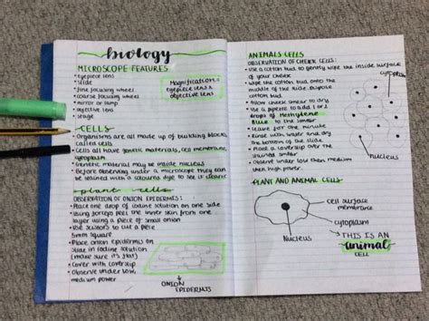 Notes For Biology Aesthetic Biology Notes Notes Inspiration Study Notes