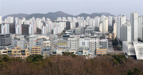 세종시 아파트 공시가격 전국 1위 상승률