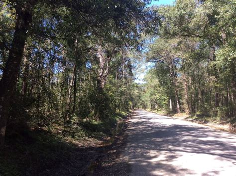 80 Acres Of Recreational Land For Sale In Oberlin Louisiana Landsearch