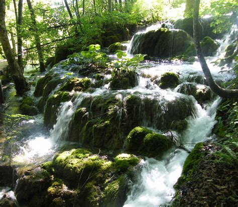 Gratis Billeder Natur Skov Vandfald B K S Flod Vild Europa