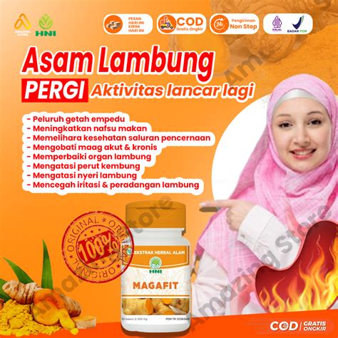 Jual MAGAFIT HNI HPAI Obat Magh Kronis Akut Magh Penetral Asam Lambung