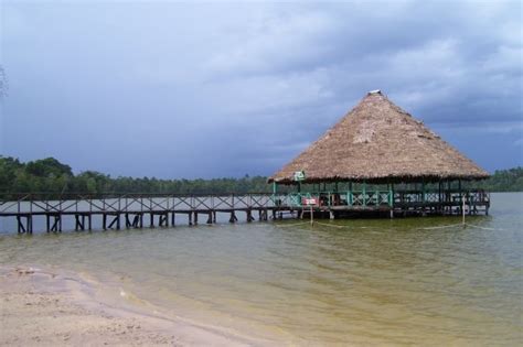 Iquitos Peru , rainforest of Peru, Amazon river | Iquitos, Amazon south ...