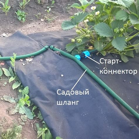 Как сделать капельный полив своими руками в теплице из капельных лент ...