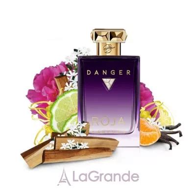 Roja Dove Danger Pour Femme Essence De Parfum