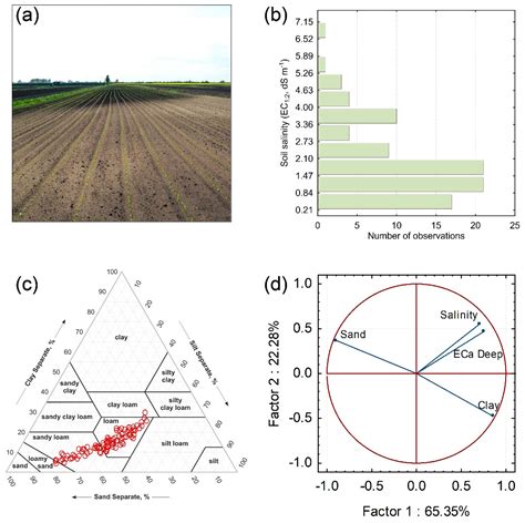 Agronomy Free Full Text Workflow To Establish Time Specific Zones