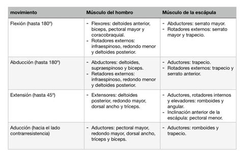 El Hombro Y Su Inestabilidad Calvo Izquierdo Sl