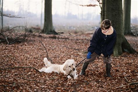 How To Make A Twig Arbor