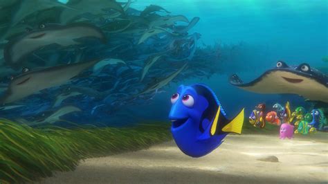 Finding Nemo Dory And Marlin