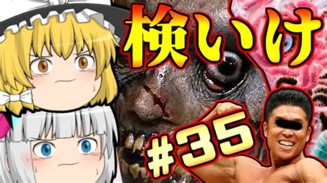 【ゆっくり実況】検索してはいけない言葉だとぉ！？しちゃうもんね！part35 Youtube