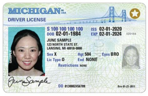 Michigan Will Offer X As A Nonbinary Sex Option On Drivers Licenses And State Id Cards