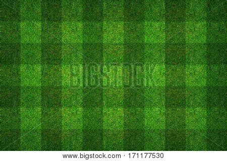 Green Grass Pattern Image & Photo (Free Trial) | Bigstock