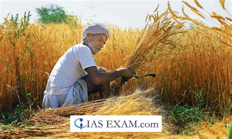 Importance Of Wheat Import By India Iasexam