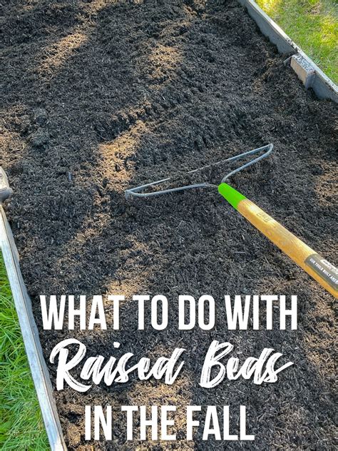 How Do You Build Raised Flower Beds at Mercedes Hatch blog