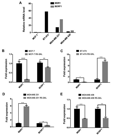 Consecutive Salinomycin Treatment Reduces Doxorubicin Resistance Of