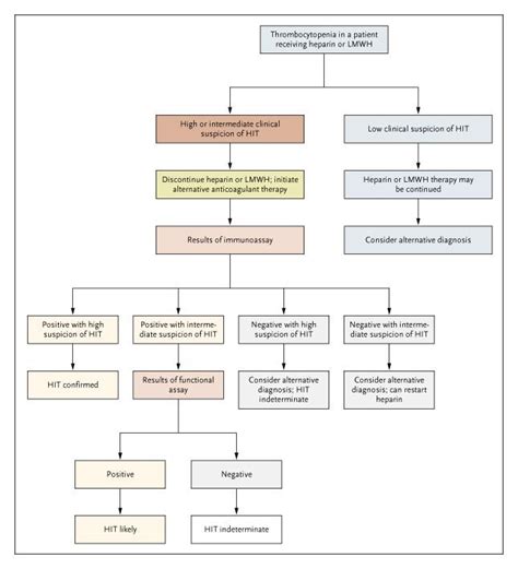 Heparin Induced Thrombocytopenia Nejm