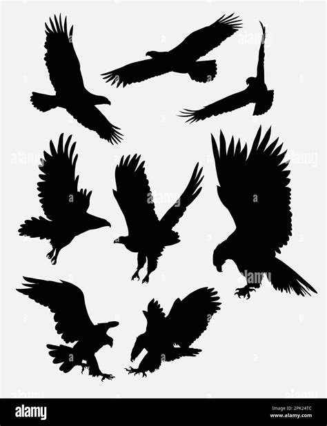 Eagle Flying Silhouettes Stock Vector Image And Art Alamy