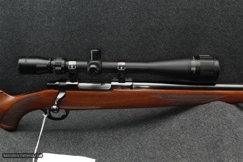 Ruger M77 243 Win