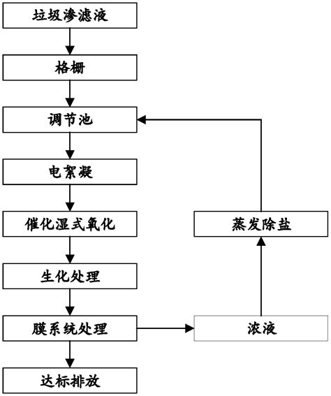 垃圾渗滤液催化湿式氧化 生化 膜处理工艺