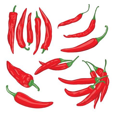 Vector Illustration Of Red Vegetables Of Cayenne Hot Pepper On A White