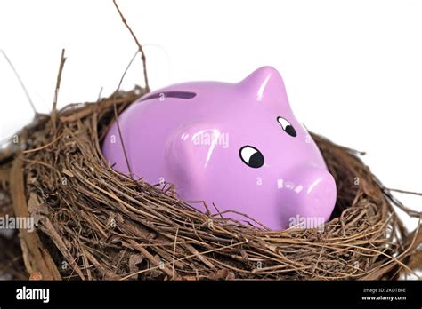 Piggy Bank In Nest Against White Background Stock Photo Alamy