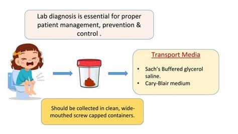 BACILLARY DYSENTERY diagnosis and treatment.pptx