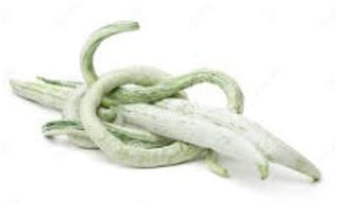 Organic Indian Snake Gourd Seeds Chichinda Padwal Potlakaya