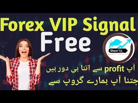 Best Forex Signal Best Signal Provider In Forex Youtube